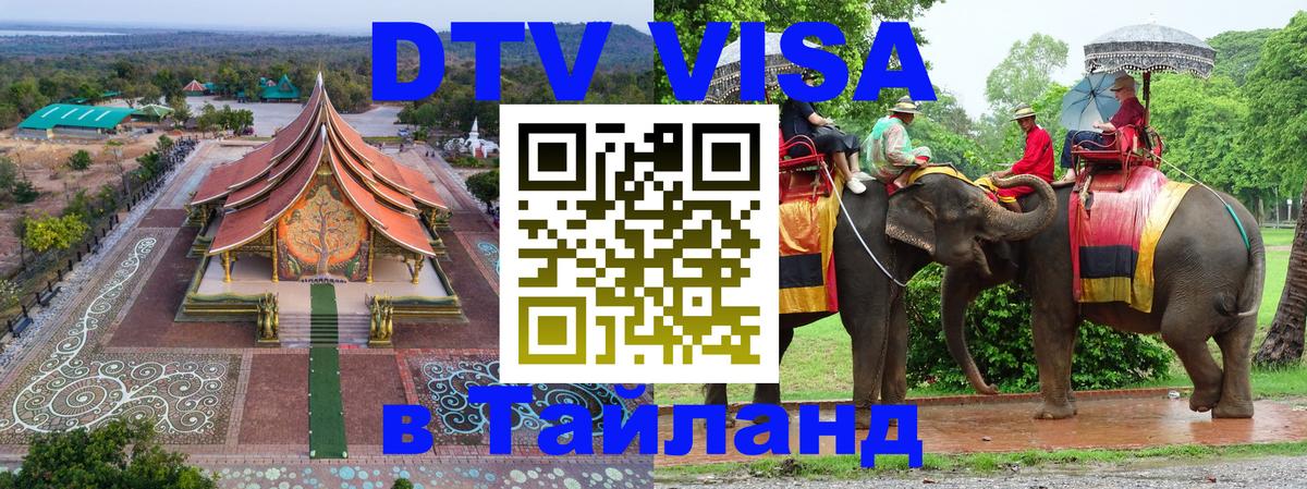 Сколько стоит DTV виза — актуальные цены, оформление даже без документов - Сыктывкар 